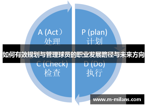 如何有效规划与管理球员的职业发展路径与未来方向