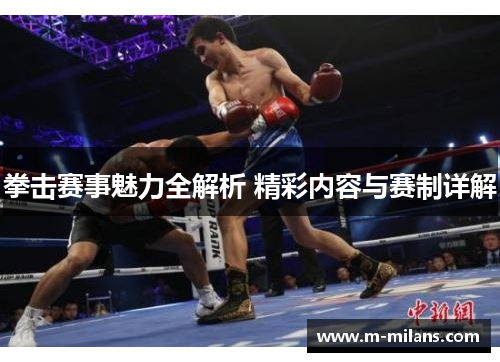 拳击赛事魅力全解析 精彩内容与赛制详解