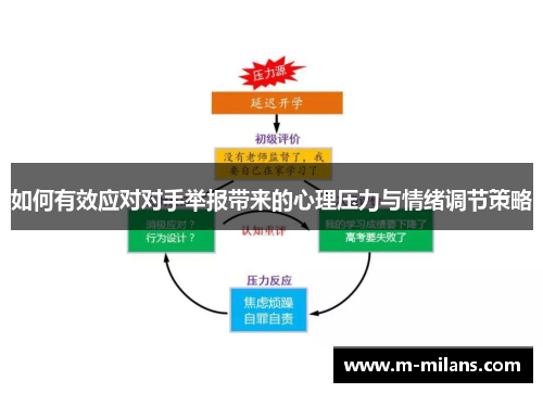 如何有效应对对手举报带来的心理压力与情绪调节策略