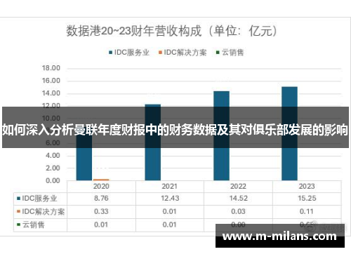 如何深入分析曼联年度财报中的财务数据及其对俱乐部发展的影响