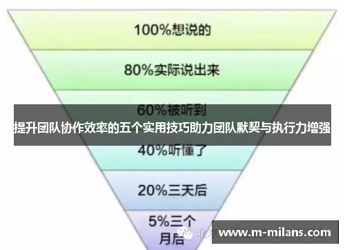 提升团队协作效率的五个实用技巧助力团队默契与执行力增强