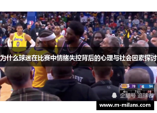 为什么球迷在比赛中情绪失控背后的心理与社会因素探讨