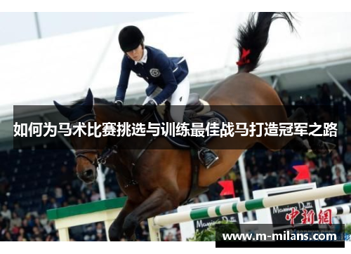 如何为马术比赛挑选与训练最佳战马打造冠军之路