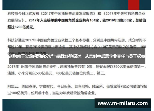 赵鹏关于欠薪问题的分析与实践经验探讨：从案例中反思企业责任与员工权益